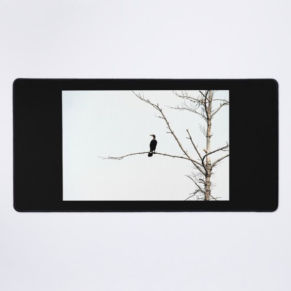 Item preview, Double Crested Cormorant designed and sold by Debbie Oppermann.