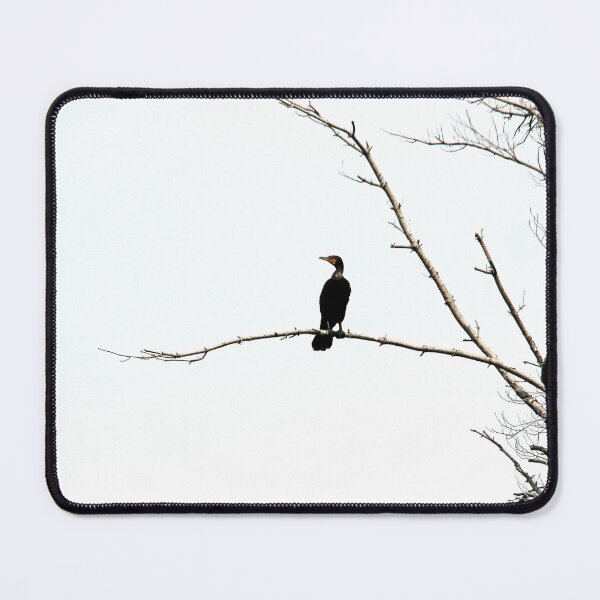 Item preview, Double Crested Cormorant designed and sold by Debbie Oppermann.
