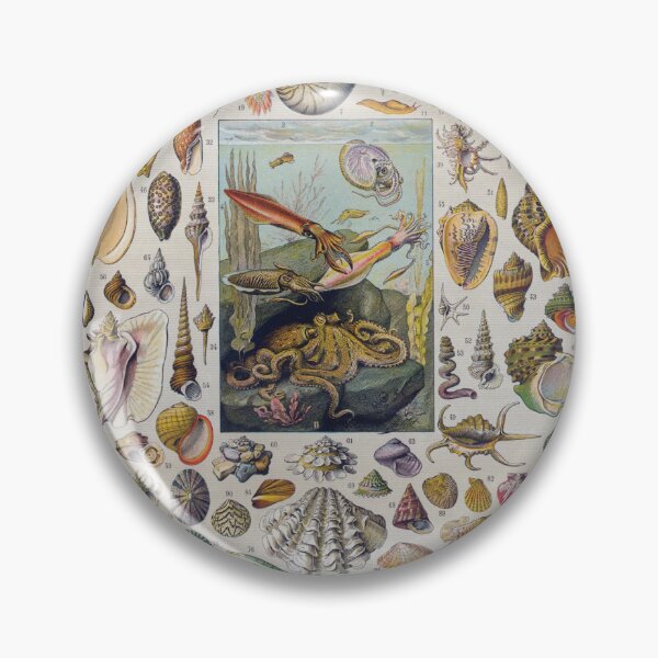 Item preview, Vintage Mollusc Poster designed and sold by mckennadraws.