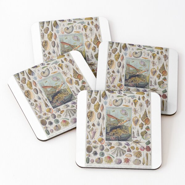Item preview, Vintage Mollusc Poster designed and sold by mckennadraws.
