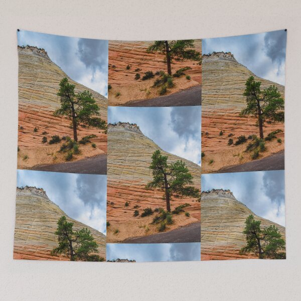 Item preview, Checkerboard Mesa, Zion National Park, Utah designed and sold by Brian Shaw.