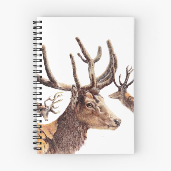 Item preview, Woburn Abbey deer park mixed media drawing for charity designed and sold by JayTCee.