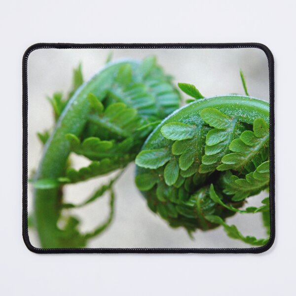 Item preview, Furled Fronds designed and sold by Debbie Oppermann.