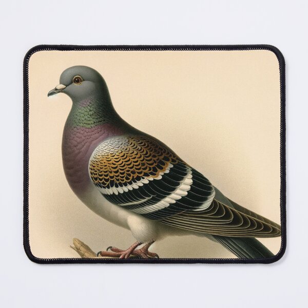 Item preview, Pigeon portrait designed and sold by ClumsyClouds.