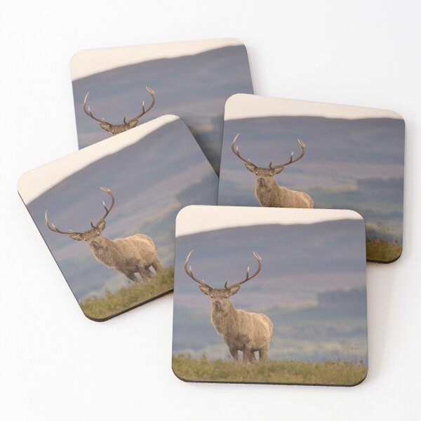 Item preview, Red Deer Stag designed and sold by Macrae images.