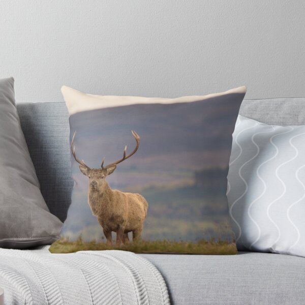 Item preview, Red Deer Stag designed and sold by Macrae images.