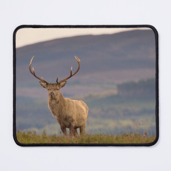 Item preview, Red Deer Stag designed and sold by Macrae images.