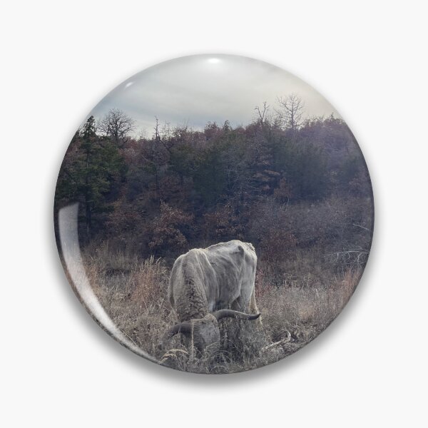 Item preview, Old Lone White Longhorn designed and sold by littlevane.