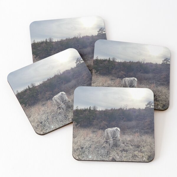 Item preview, Old Lone White Longhorn designed and sold by littlevane.