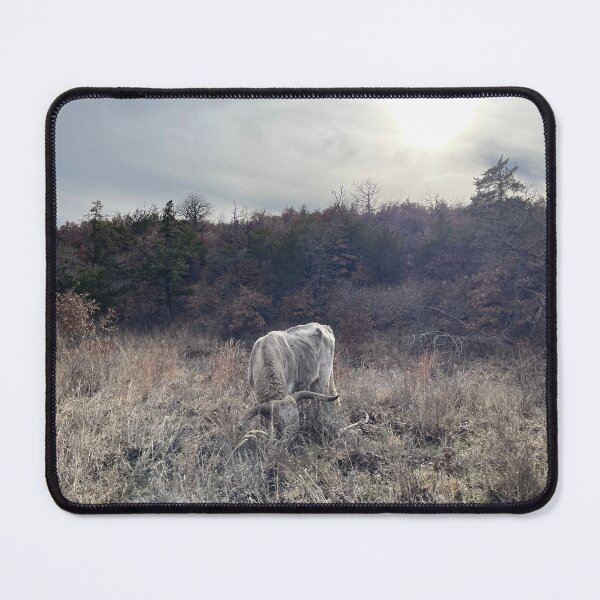 Item preview, Old Lone White Longhorn designed and sold by littlevane.