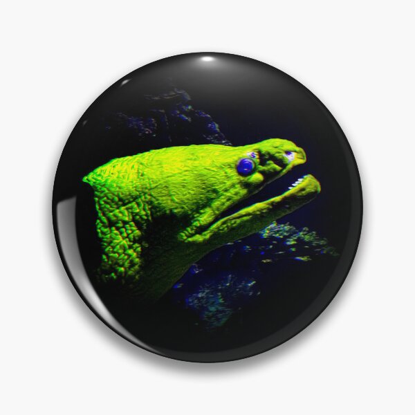 Item preview, Moray eel designed and sold by Guardi71.