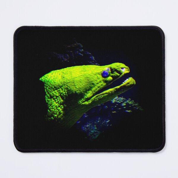 Item preview, Moray eel designed and sold by Guardi71.