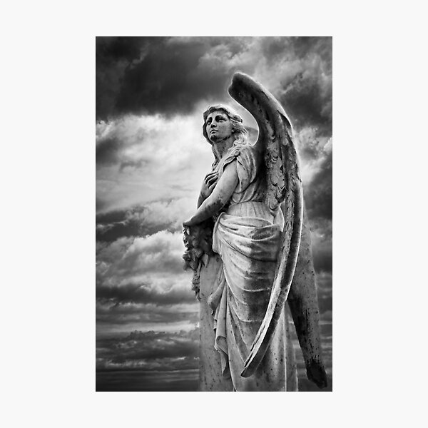 The Watcher Photographic Print