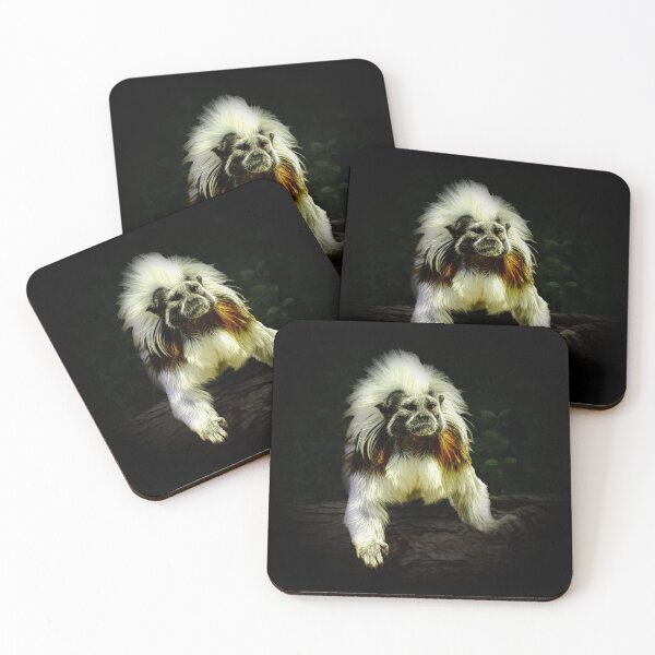 Item preview, Cotton -top tamarin designed and sold by Guardi71.