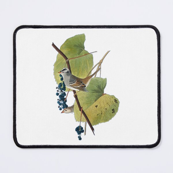 Item preview, White-crowned Sparrow cutout by John James Audubon designed and sold by EmeraldeaArt.