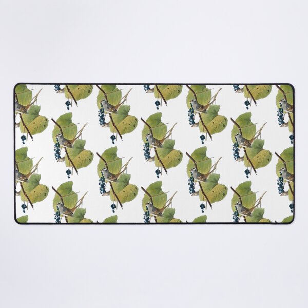 Item preview, White-crowned Sparrow cutout by John James Audubon designed and sold by EmeraldeaArt.