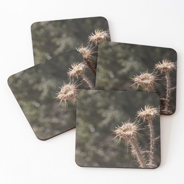 Item preview, Thistle designed and sold by Marylou Badeaux.