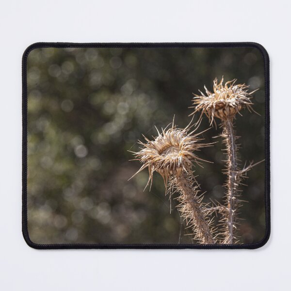 Item preview, Thistle designed and sold by Marylou Badeaux.