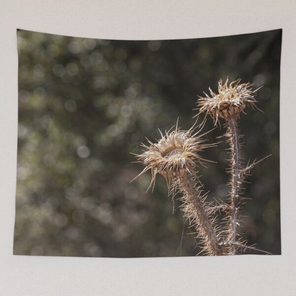 Item preview, Thistle designed and sold by Marylou Badeaux.