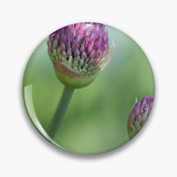 Item preview, Shadowed Allium Buds - Purple And Green designed and sold by Debbie Oppermann.