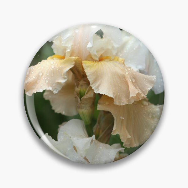 Item preview, Cream And Tan Iris designed and sold by Debbie Oppermann.