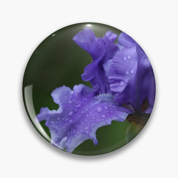 Item preview, Solid Purple German Iris designed and sold by Debbie Oppermann.