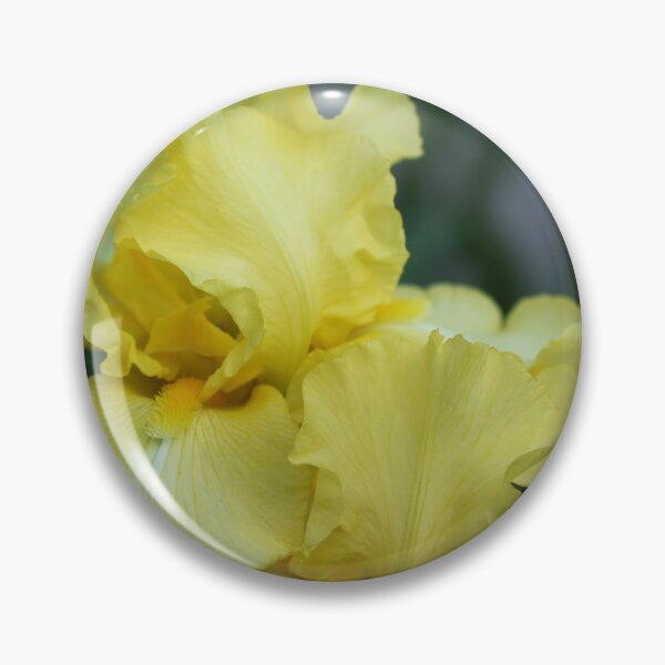 Item preview, Vibrant Yellow Iris designed and sold by Debbie Oppermann.