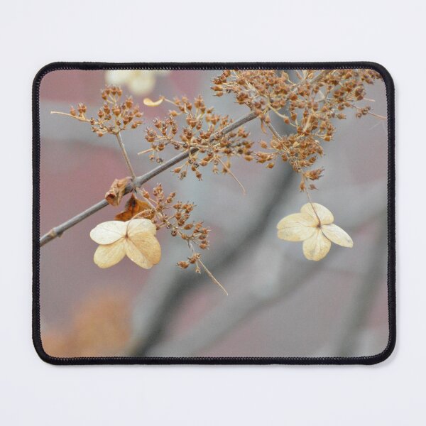 Item preview, Dry Flowers designed and sold by lisapicklepizza.