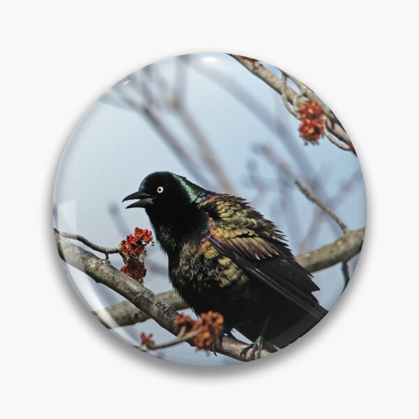 Item preview, Grackle Colors designed and sold by Debbie Oppermann.