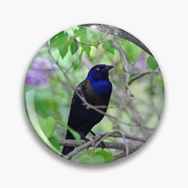 Item preview, Black Bird Amidst The Lilacs designed and sold by Debbie Oppermann.