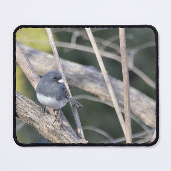Item preview, Junco designed and sold by lisapicklepizza.