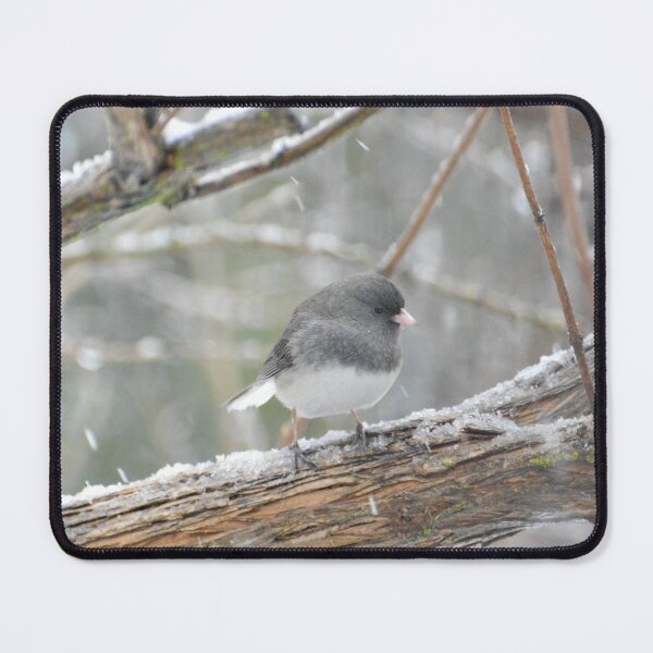 Item preview, Adorable Junco in the snow designed and sold by lisapicklepizza.