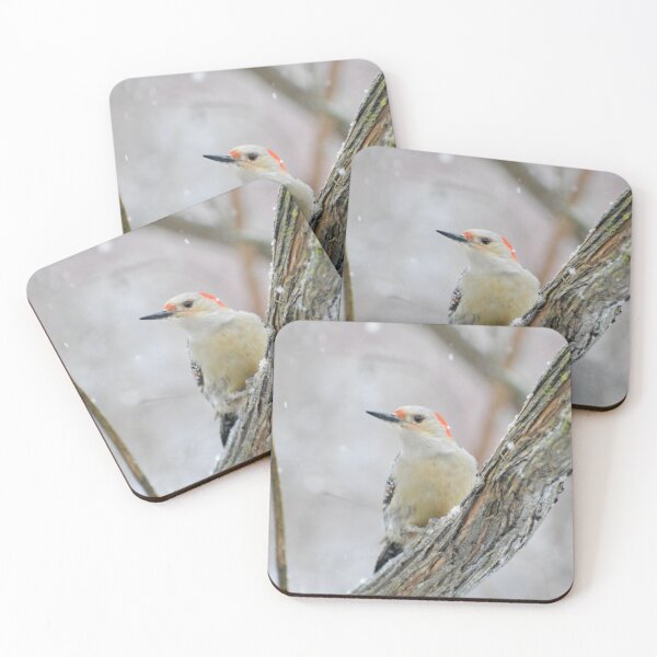 Item preview, Snowy Red Bellied Woodpecker designed and sold by lisapicklepizza.