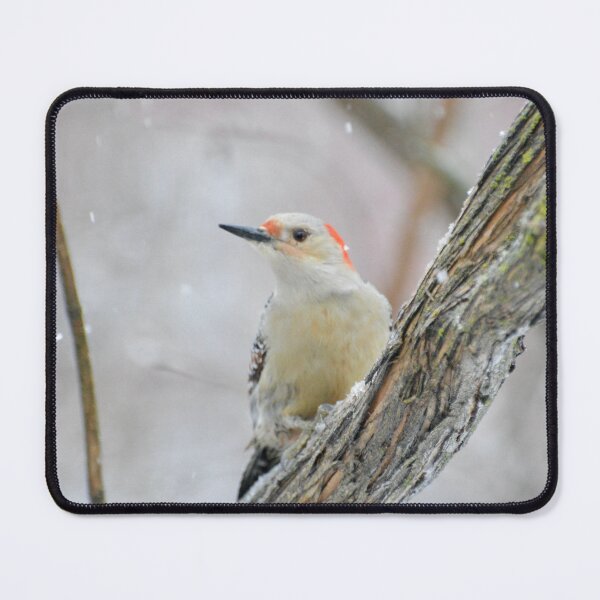 Item preview, Snowy Red Bellied Woodpecker designed and sold by lisapicklepizza.