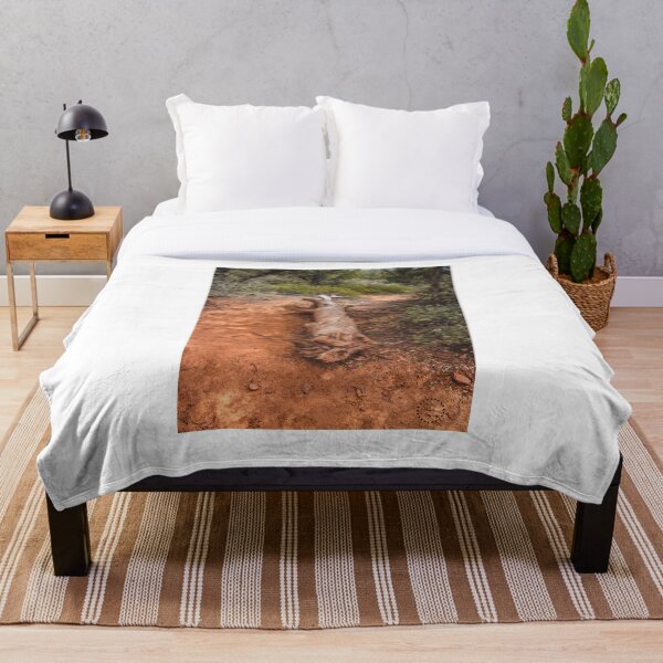 Item preview, Boynton Canyon Vortex 1 designed and sold by Arielle S.