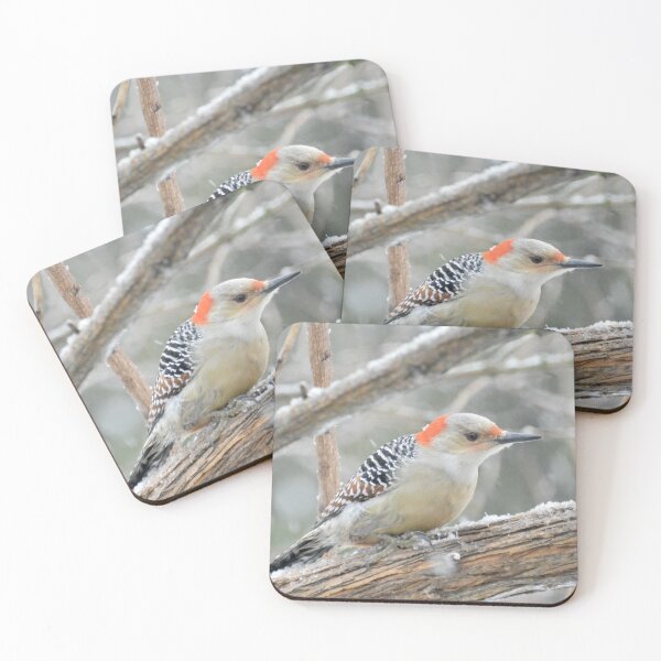 Item preview, Red Bellied Woodpecker designed and sold by lisapicklepizza.