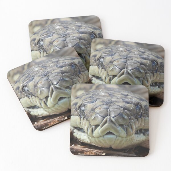 Item preview, Coastal carpet python snake face up close designed and sold by Mark Grimsley.