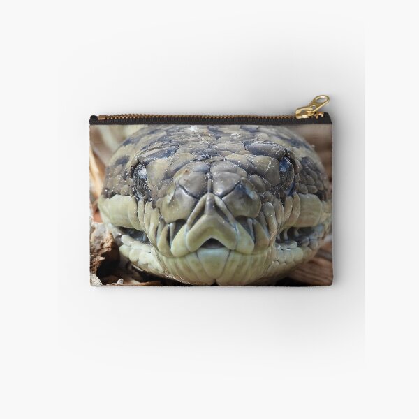 Item preview, Coastal carpet python snake face up close designed and sold by Mark Grimsley.