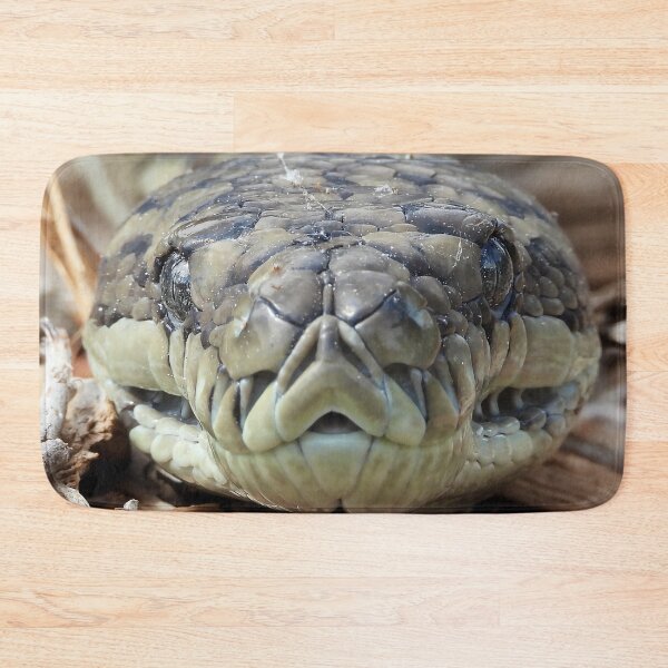 Item preview, Coastal carpet python snake face up close designed and sold by Mark Grimsley.