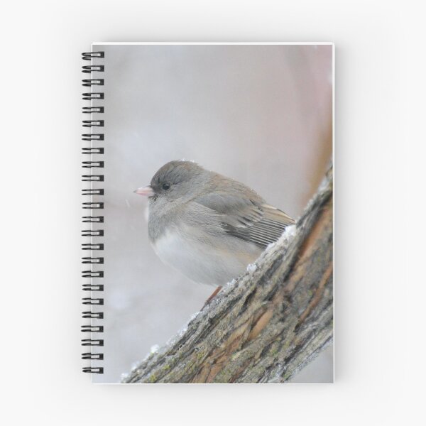 Item preview, Chubby Junco Snowbird designed and sold by lisapicklepizza.
