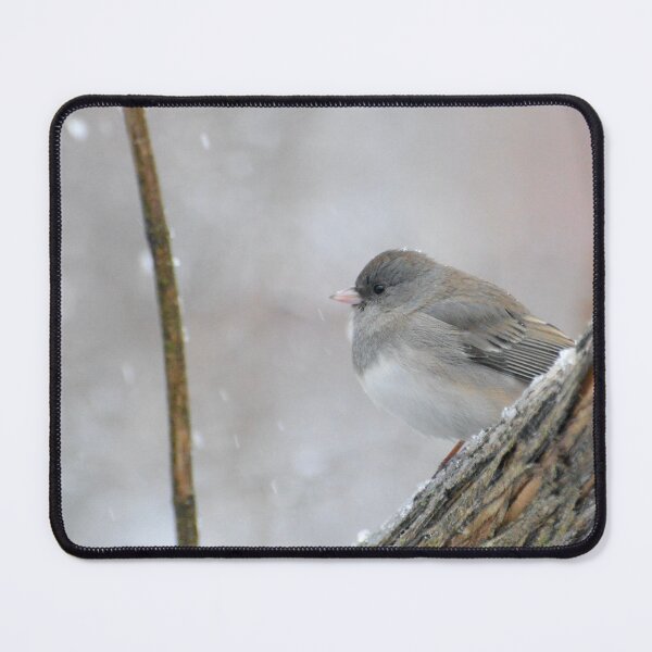 Item preview, Chubby Junco Snowbird designed and sold by lisapicklepizza.