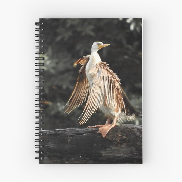 Item preview, Australasian Darter standing proud designed and sold by Mark Grimsley.