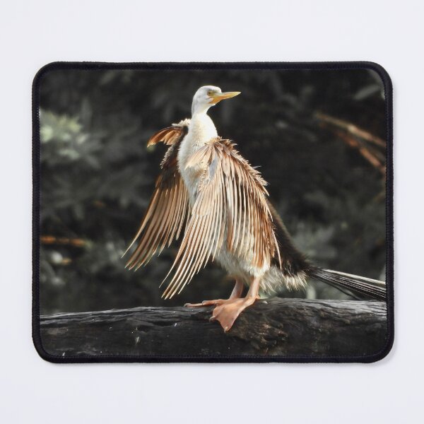 Item preview, Australasian Darter standing proud designed and sold by Mark Grimsley.