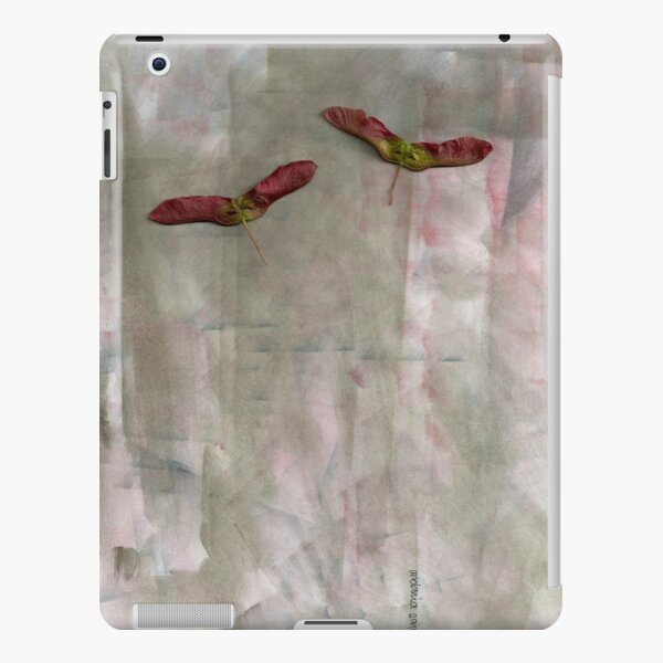 iPad Retina/3/2 - Snap