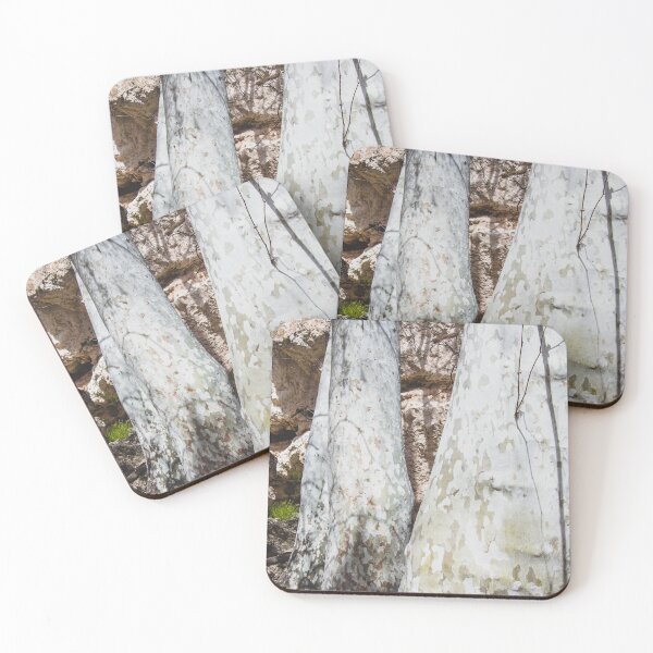 Item preview, Tree Bark, Arizona designed and sold by Arielle S.