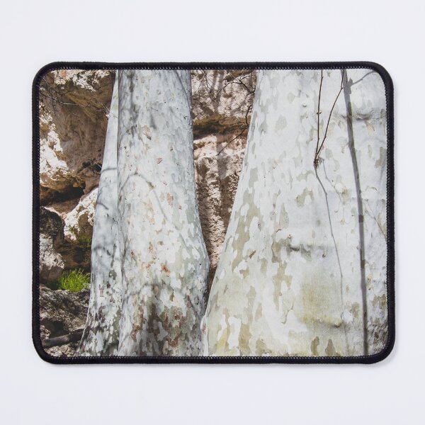 Item preview, Tree Bark, Arizona designed and sold by Arielle S.