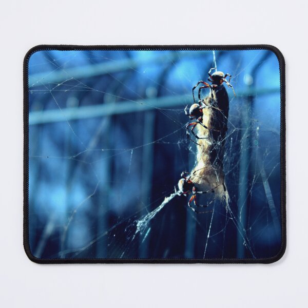 Item preview, black widow spider designed and sold by Melss-jpg.