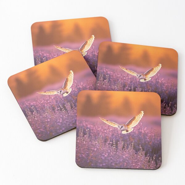 Item preview, Barn owl flying over a meadow at sunrise designed and sold by Lewis-mart.