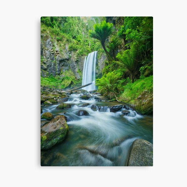 Item preview, Hopetoun Falls, Otways, Great Ocean Road, Victoria, Australia designed and sold by Michael Boniwell.