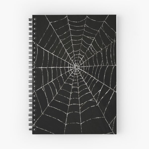 Item preview, Spiderweb Graphic designed and sold by Darktree3159.